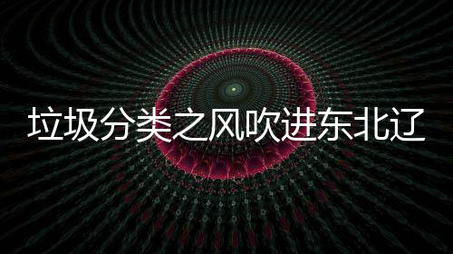 之风东北垃圾辽宁类垃分类吹进沈阳四分圾桶启用