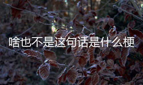 这句不是话是梗啥也什么