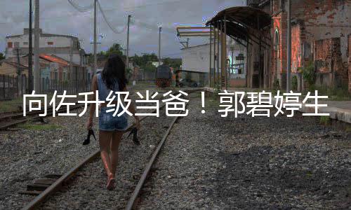 儿还子当爸向佐碧婷郭升级生女是儿
