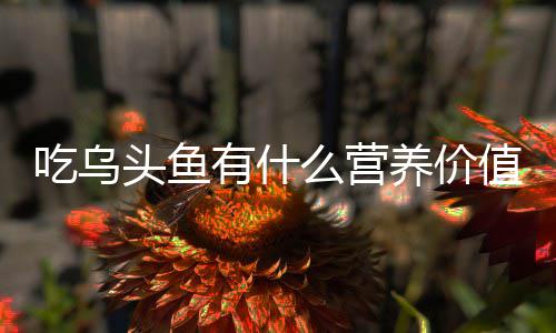 值头鱼么营吃乌有什养价