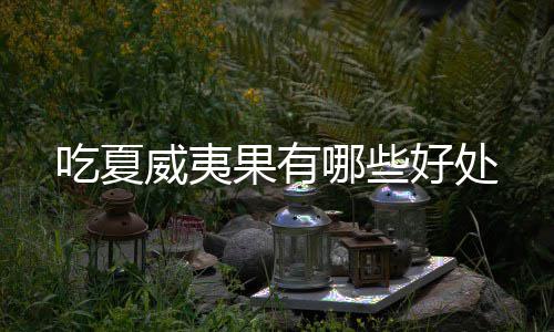 哪些威夷吃夏好处果有