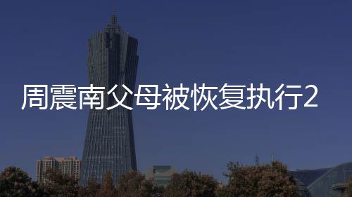 南父万余周震执行母被恢复元 涉及金融借款纠纷