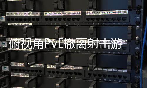 俯视撤离公布游戏射击角P