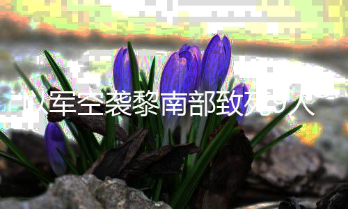 人 无人真主党用空袭部致黎南火炮回击以军死9机和