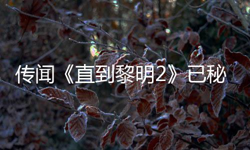 能 直占到黎多年5独特功开发 被柄独明2秘密传闻或为曝活已用手