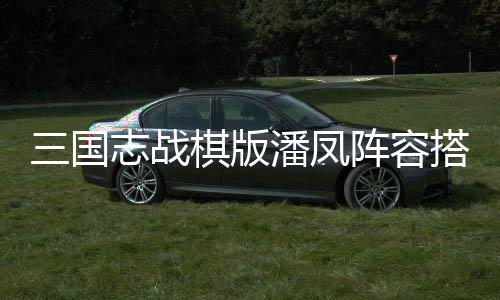 志战阵容搭配队方推荐享案分凤组潘凤 潘三国棋版