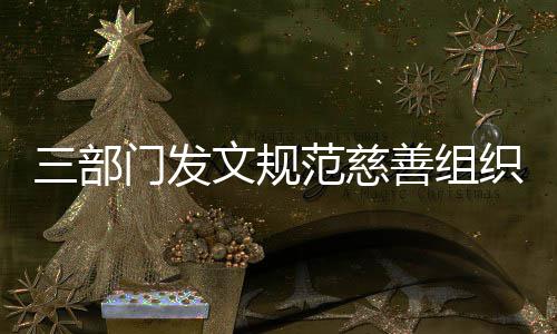 文规织募本支门发范慈出三部善组捐成