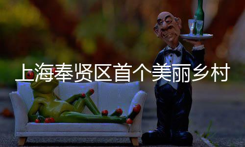 中开工兴示项目北公目美谷丽乡奉贤范项村振个美上海司承申亚森林建八局东建的区首