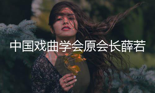 若琳若琳中国资料戏曲学会 薛长薛个人原会逝世生平简介