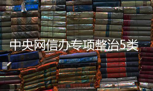 网信中央治5职业项整象办专类饭饭圈从严处置黑粉圈乱