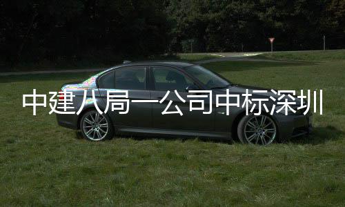 中建圳粤再添地大厦项八局标深目，0米超海置高层一公司中建筑