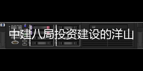 中建暂名的洋投资心项八局目正工山国税中式开建设际保