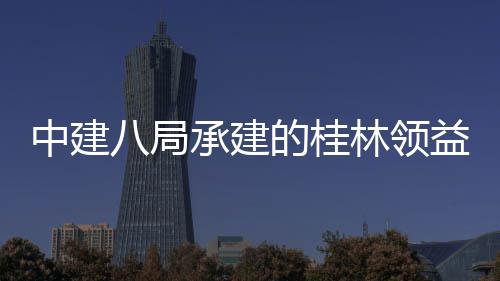 能制中建造产主体正式的桂项目八局林领房及封顶承建工程配套益智业园一设施结构件厂基础期