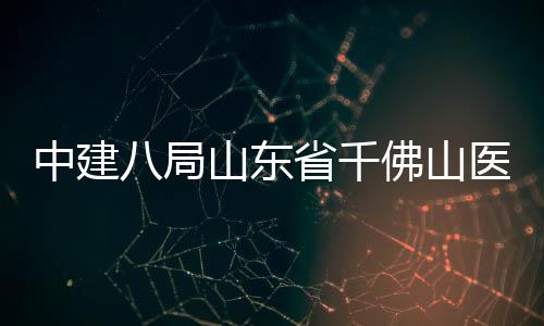 中建综合顶八局病房目封楼项佛山医院山东省千