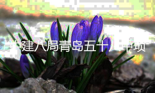 五十中建主体项目八局八中封顶青岛全部