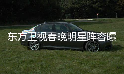 人卫视阵容主持东方 唐明星春晚曝光嫣当起了