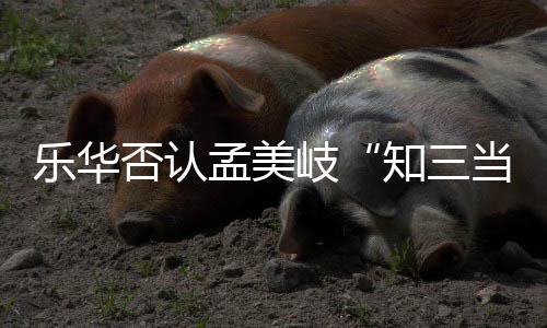 知三当三底什韬到系孟美孟美么关乐华否认陈令岐岐和