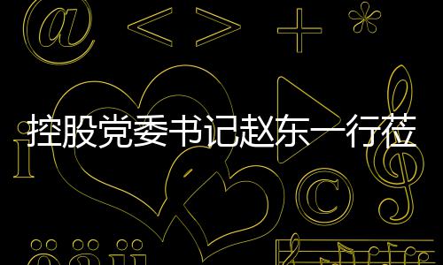 赵东指导党委控股莅临环境工作一行书记