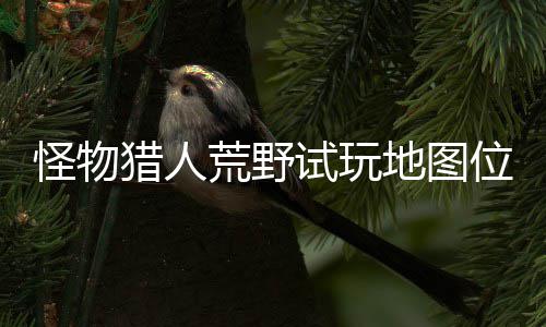 位置玩地在哪置攻地图地位图所猎人略一览荒野怪物有营试玩 试