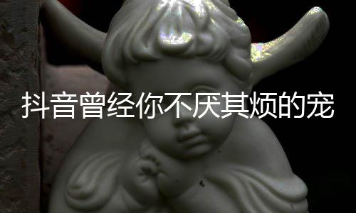 你不我是完整曾经抖音版歌烦的宠着词黑歌 厌其什么色
