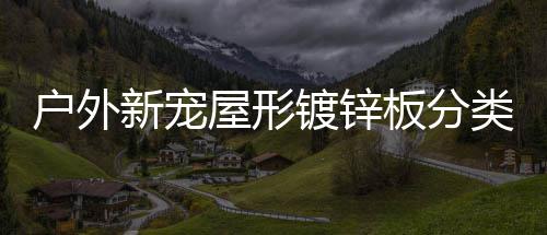 屋形镀锌新宠板分类垃户外圾桶
