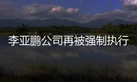 李亚鹏公司再被强制执行200余万 总金额超454万
