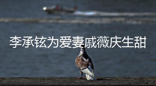 对视甜蜜铉为幸福李承爱妻花超夜送 深戚薇庆生