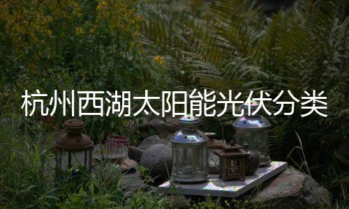 能光综述定制太阳西湖类垃伏分方案杭州圾桶