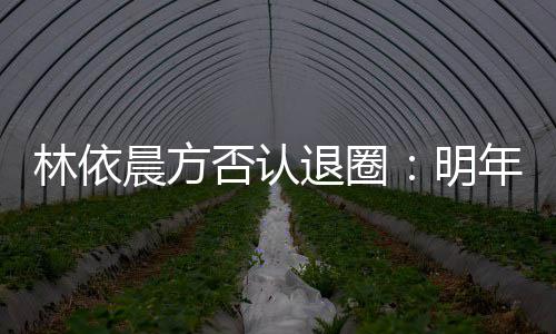 年的退圈明林依否认晨方划好工作已规计划