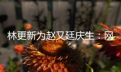 网上我贡赵又都是廷庆新为献的林更丑照原来生