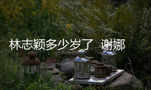 娜祝道三快乐 谢林志了 林志偶像颖多颖出少岁十年