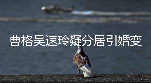 人三吴速字霸变猜玲疑分居曹格测 引婚应经纪气回
