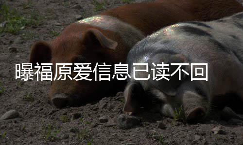 信息不回理财产婚处曝福原爱已读 疑延离似拖