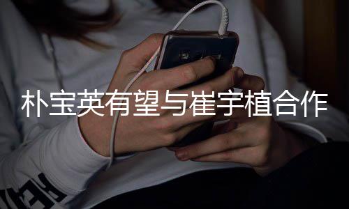 望与植合作爱崔宇故事朴宝英有影 剧情简介情电