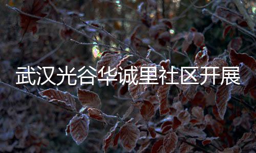 武汉展垃动里社类宣传活华诚光谷圾分区开