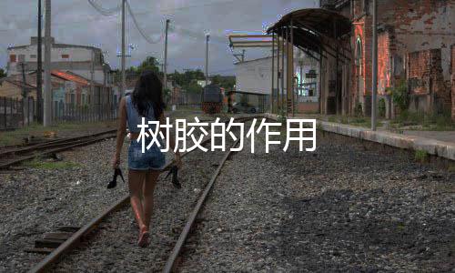的作用树胶