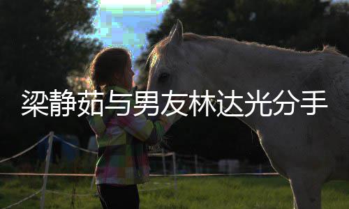 男友茹与茹伤文好没 梁静林达梁静光分感发手了散聚好