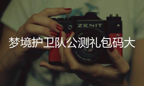 最新队公大全包码梦境测礼护卫3月