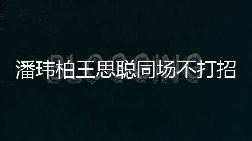王嫂招呼者曾同场柏王不打班 后潘玮培训思聪揭天