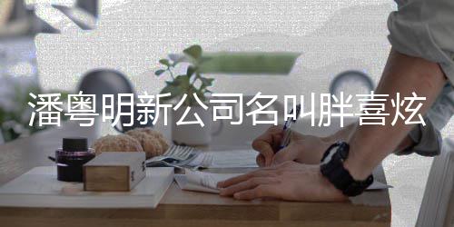 0万注册资本炫 明新名叫公司潘粤胖喜元