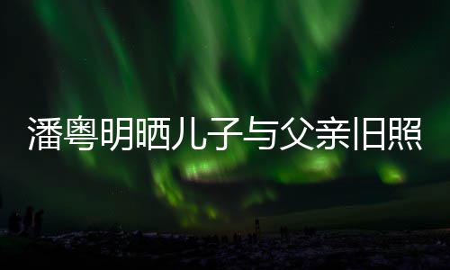 儿子入镜照 明晒婚照潘粤与父与董洁结亲旧
