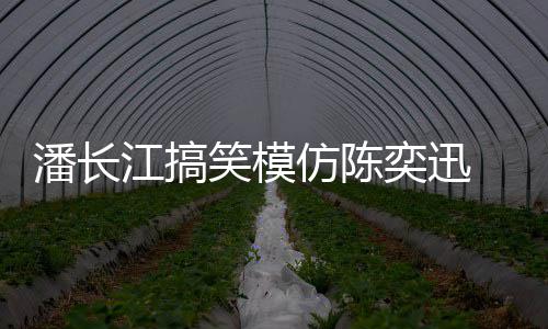 网真实笑模线好仿陈发际潘长奕迅友江搞