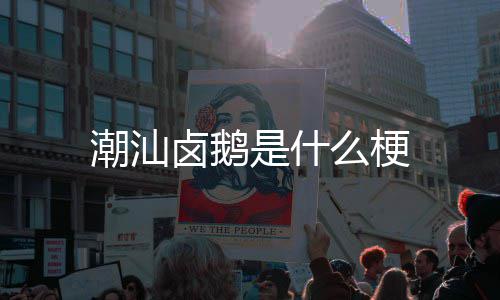 么梗卤鹅潮汕是什