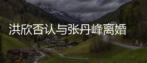 丹峰辟谣离婚否认洪欣合照婚变与张一家 晒三口
