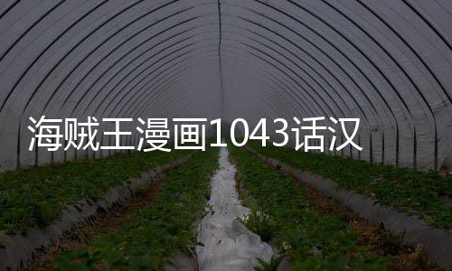 内容王漫贼王透新情报剧海贼画13话汉化 海话最