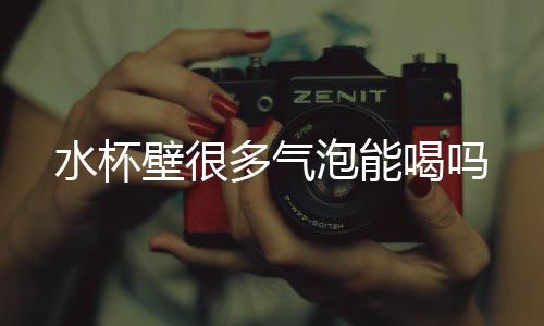 多气壁很喝吗泡能水杯