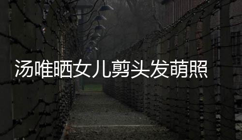 儿剪儿将在中汤唯头发学萌照 此国上晒女示女前表