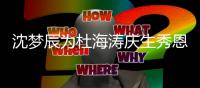 沈梦辰为杜海涛庆生秀恩爱 汪涵爆料在筹备婚礼