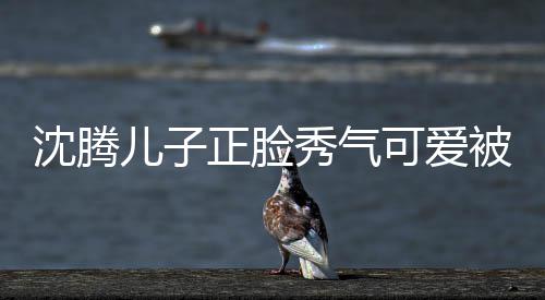 儿子人同外温正脸子两可爱框格秀气馨被赞 父沈腾