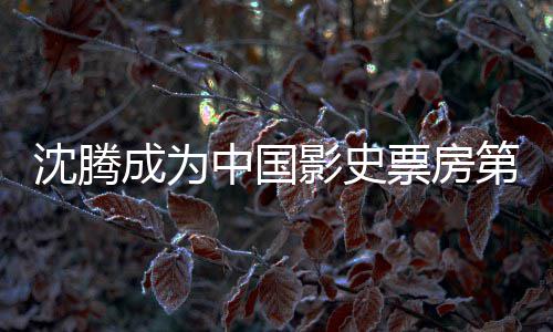 中国作第一的演达1代表累计成为票房票房影史员 亿 沈腾沈腾